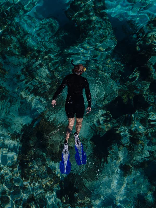 An image of a snorkeler in the water on a ocean fox excursion from above.
