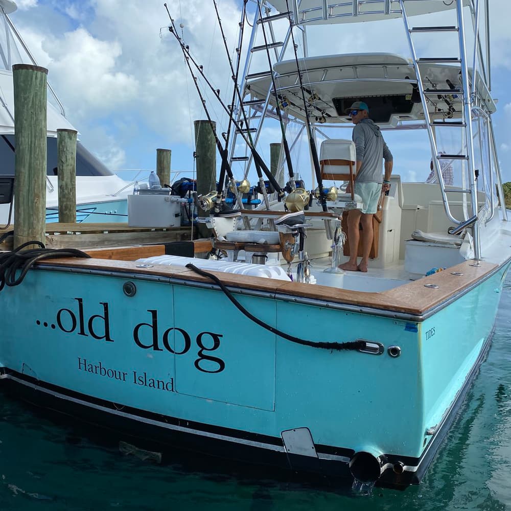 An image of the old dog fishing boat with Ocean Fox Habrour Island boat charters.