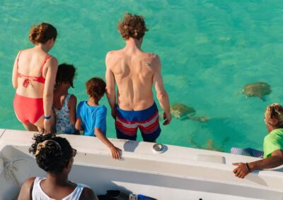 An image of guests getting in the water with sea turtles in Harbour Island.