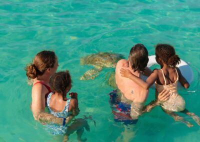 An image of guests up close and personal with sea turtles in the clear waters of the Bahamas.