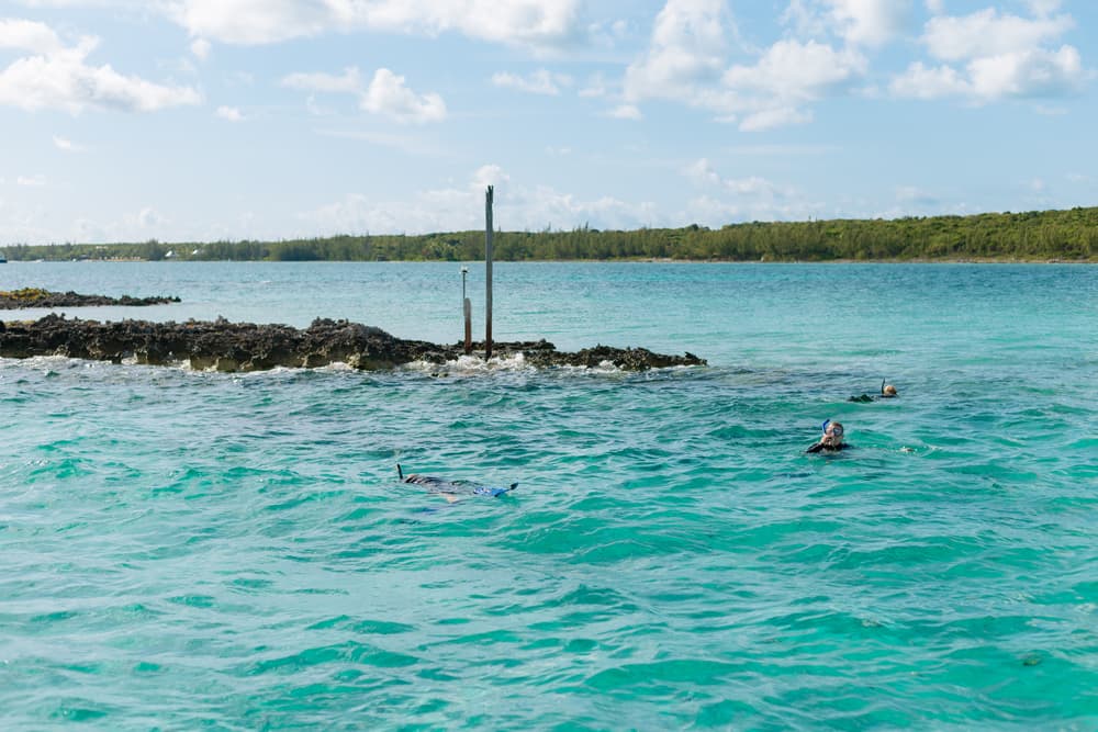 An image of snorkel guests in the water with an Ocean Fox snorkeling charter off of Harbour Island.
